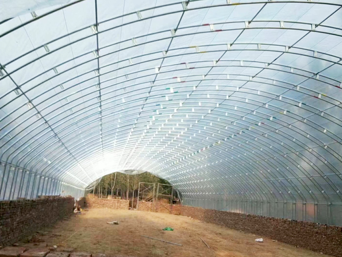 春秋棚、冷棚